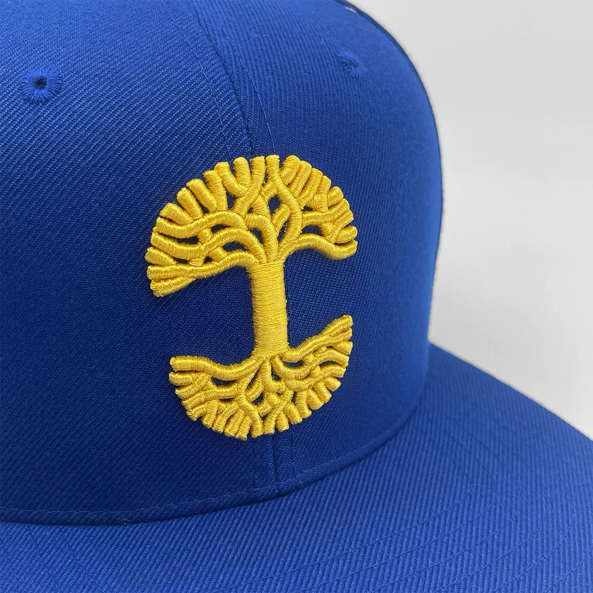 Oaklandish Classic Snapback